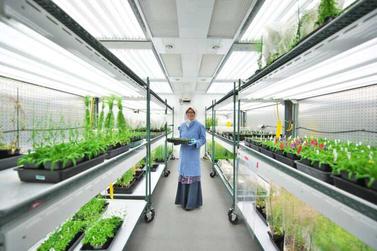Dr Nadia Radzman, Botantical Gardens Research, Cambridge
